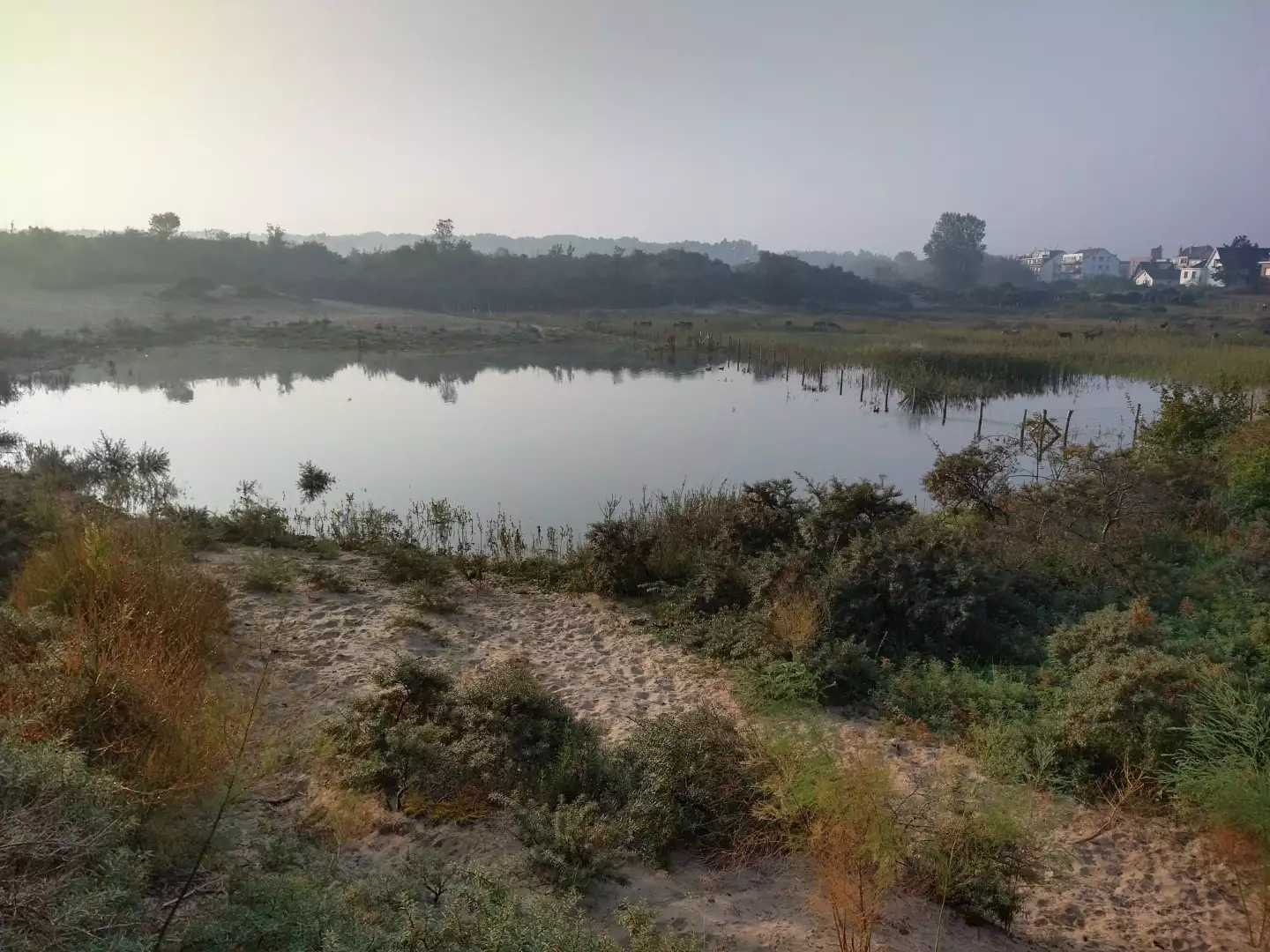2020 De Panne Morgenster Bostoen